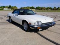 Jaguar XJS Convertible - <small></small> 19.500 € <small>TTC</small> - #2