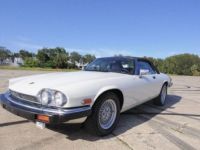 Jaguar XJS Convertible - <small></small> 19.500 € <small>TTC</small> - #4