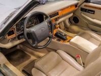 Jaguar XJS Convertible - <small></small> 17.900 € <small>TTC</small> - #5