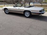 Jaguar XJS convertible  - <small></small> 16.500 € <small>TTC</small> - #7