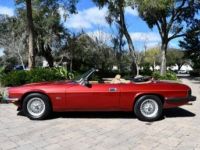 Jaguar XJS Convertible SYLC EXPORT - <small></small> 19.900 € <small>TTC</small> - #3