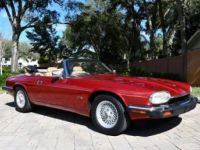 Jaguar XJS Convertible SYLC EXPORT - <small></small> 19.900 € <small>TTC</small> - #4