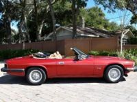 Jaguar XJS Convertible SYLC EXPORT - <small></small> 19.900 € <small>TTC</small> - #5