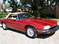 Jaguar XJS Convertible SYLC EXPORT - <small></small> 19.900 € <small>TTC</small> - #7