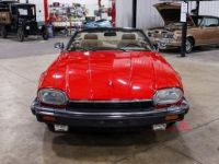 Jaguar XJS Convertible SYLC EXPORT - <small></small> 19.900 € <small>TTC</small> - #3