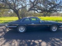 Jaguar XJS coupe  - <small></small> 16.000 € <small>TTC</small> - #6