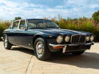 Jaguar XJS I SERIE - Prix sur Demande - #16