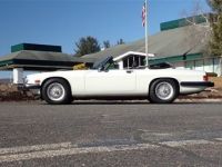 Jaguar XJS Roadster SYLC EXPORT - <small></small> 17.900 € <small>TTC</small> - #2