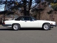 Jaguar XJS Roadster SYLC EXPORT - <small></small> 17.900 € <small>TTC</small> - #6