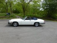 Jaguar XJS SYLC EXPORT - <small></small> 16.900 € <small>TTC</small> - #2