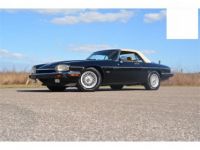 Jaguar XJS SYLC EXPORT - <small></small> 15.900 € <small>TTC</small> - #1