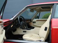 Jaguar XJS TWR Bodykit Ex Connie Breukhoven - <small></small> 23.900 € <small>TTC</small> - #15