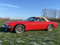 Jaguar XJS V12 - <small></small> 23.500 € <small>TTC</small> - #1