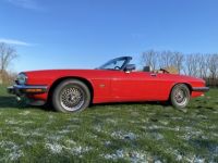 Jaguar XJS V12 - <small></small> 23.500 € <small>TTC</small> - #7