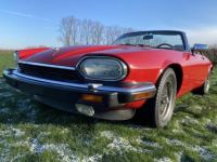 Jaguar XJS V12 - <small></small> 23.500 € <small>TTC</small> - #14