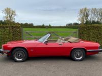 Jaguar XJS V12 - <small></small> 23.500 € <small>TTC</small> - #5