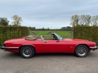 Jaguar XJS V12 - <small></small> 23.500 € <small>TTC</small> - #7