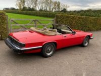 Jaguar XJS V12 - <small></small> 23.500 € <small>TTC</small> - #8