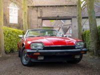 Jaguar XJS V12 - <small></small> 23.500 € <small>TTC</small> - #11