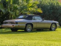 Jaguar XJS V12 A Cabriolet - <small></small> 29.990 € <small>TTC</small> - #2