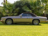 Jaguar XJS V12 A Cabriolet - <small></small> 29.990 € <small>TTC</small> - #7