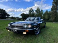 Jaguar XJS V12 BVA - <small></small> 16.500 € <small>TTC</small> - #8