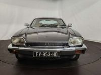 Jaguar XJS V12 HE - <small></small> 24.000 € <small>TTC</small> - #5