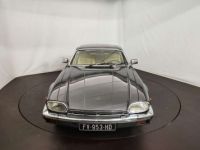 Jaguar XJS V12 HE - <small></small> 24.000 € <small>TTC</small> - #7