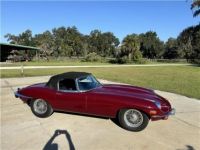 Jaguar XK - <small></small> 87.000 € <small>TTC</small> - #2