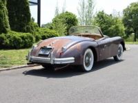 Jaguar XK - <small></small> 58.600 € <small>TTC</small> - #6