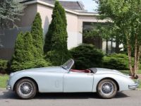 Jaguar XK - <small></small> 58.500 € <small>TTC</small> - #4