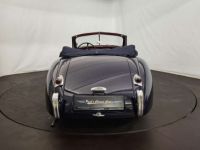 Jaguar XK Série - 120 DHC - <small></small> 125.000 € <small>TTC</small> - #14