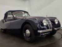 Jaguar XK120 cabriolet - <small></small> 125.000 € <small>TTC</small> - #13