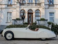 Jaguar XK120 XK 120 Open Top Speedster (OTS) LHD 1951 - OLDTIMER - GERESTAUREERD - MATCHING NUMBERS - SOFTTOP - CREAM WHITE - <small></small> 99.999 € <small>TTC</small> - #10