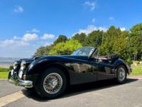 Jaguar XK140 - <small></small> 89.900 € <small>TTC</small> - #24