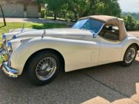 Jaguar XK140 - <small></small> 106.000 € <small>TTC</small> - #3