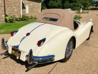 Jaguar XK140 - <small></small> 106.000 € <small>TTC</small> - #7