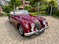 Jaguar XK150 - <small></small> 79.900 € <small>TTC</small> - #3