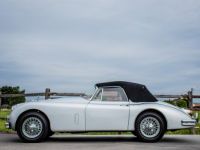 Jaguar XK150 XK 150 SE 3.8 DHC Cabrio Aut. - OLDTIMER - WINNER LE MANS - VOLLEDIG GERESTAUREERD - <small></small> 104.999 € <small>TTC</small> - #12