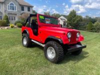 Jeep CJ5 - <small></small> 17.000 € <small>TTC</small> - #1