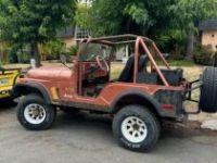 Jeep CJ5 - <small></small> 16.000 € <small>TTC</small> - #22