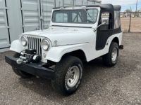 Jeep CJ5 - <small></small> 16.000 € <small>TTC</small> - #10