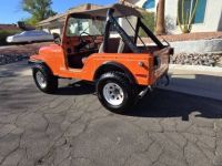 Jeep CJ5 - <small></small> 16.000 € <small>TTC</small> - #3