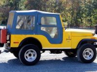 Jeep CJ5 - <small></small> 26.000 € <small>TTC</small> - #5