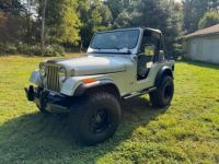 Jeep CJ5 - <small></small> 22.000 € <small>TTC</small> - #1