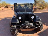 Jeep CJ5 - <small></small> 29.000 € <small>TTC</small> - #10