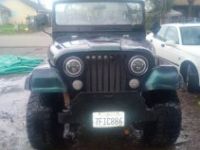 Jeep CJ5 - <small></small> 19.000 € <small>TTC</small> - #3