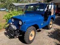 Jeep CJ5 - <small></small> 20.000 € <small>TTC</small> - #5