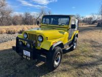 Jeep CJ5 - <small></small> 15.600 € <small>TTC</small> - #2