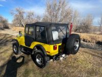 Jeep CJ5 - <small></small> 15.600 € <small>TTC</small> - #3